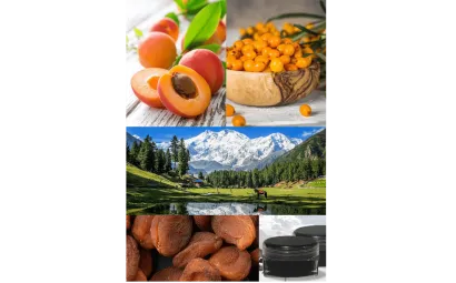 Gilgit Baltistan dryfruits and salajeet co.