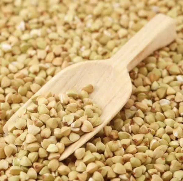 Gilgit Baltistan dryfruits and salajeet co.