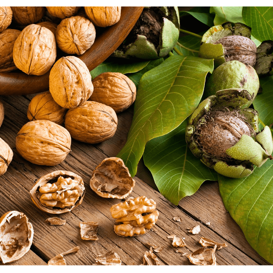 Gilgit Baltistan dryfruits and salajeet co.